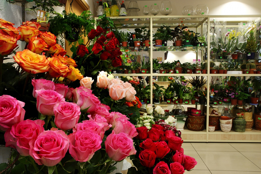 Где Можно Купить Розы В Омске