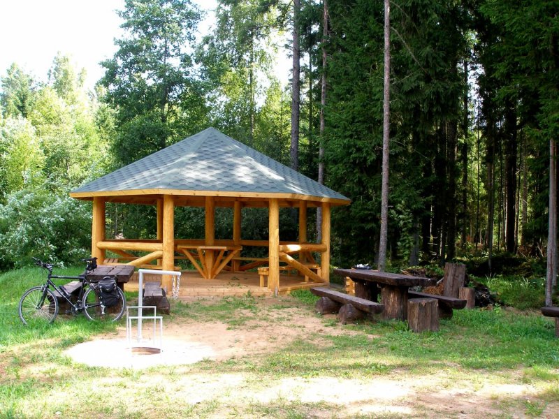 Место для отдыха в лесу