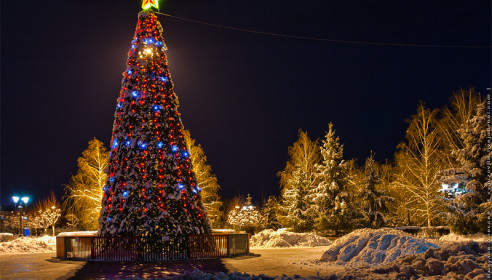 Новогодняя елка в парке Победы в Тамбове. Фото Алексей Выгузов.