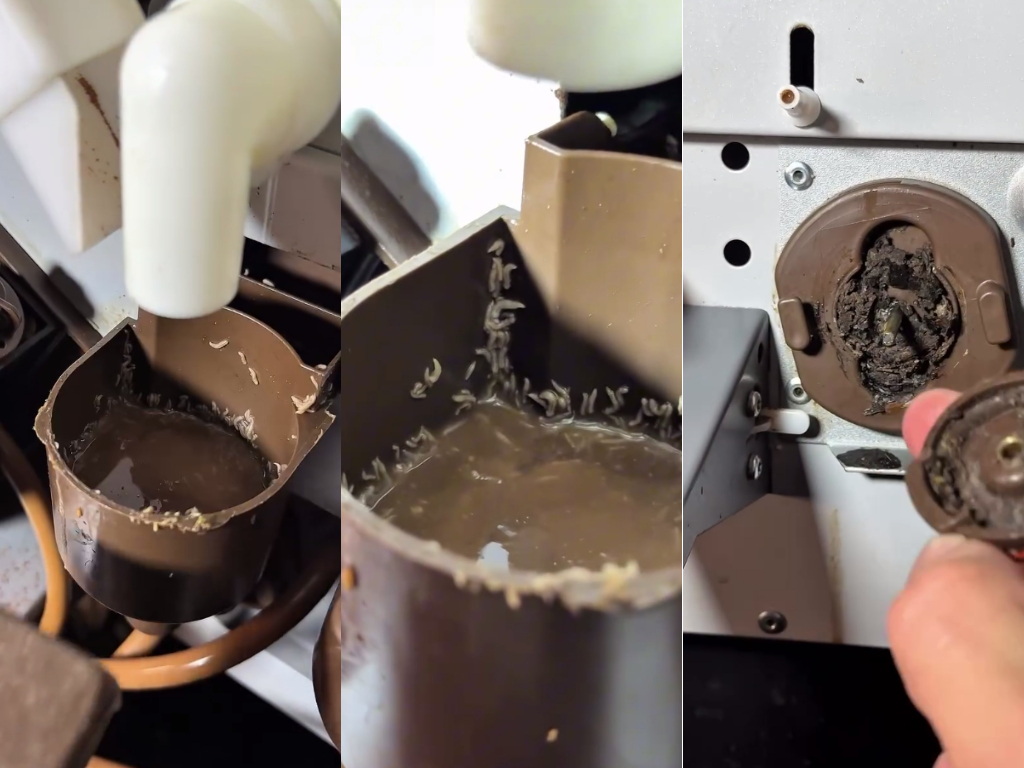 В кофейных автоматах могут жить жучки и личинки