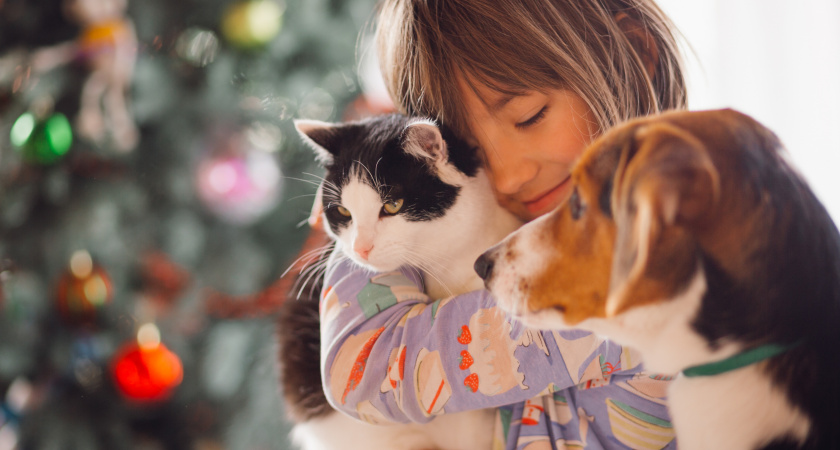 В Тамбове продолжается бесплатная вакцинация домашних животных от бешенства