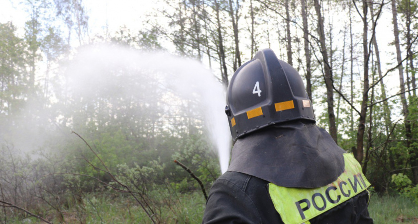 За сутки в регионе — 11 пожаров, из них 9 из-за травы и мусора