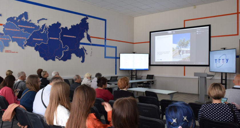 Проект благоустройства набережной Студенца в Тамбове обсудили с архитекторами в формате телемоста