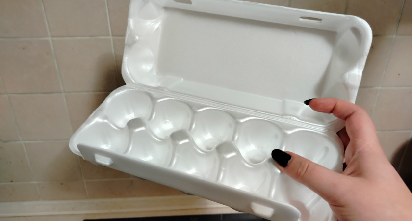 Не выбрасывайте лотки от яиц: они станут незаменимыми помощниками в огороде