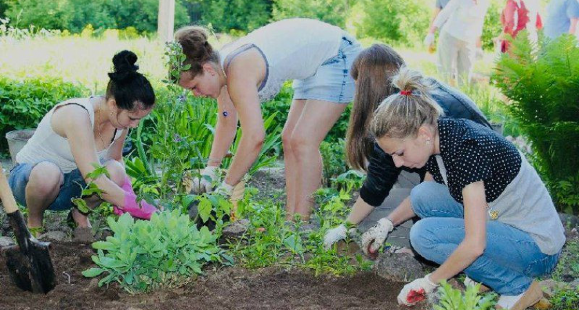 Летом 2025 года почти 4 тысячи подростков в Тамбовской области смогут официально подработать