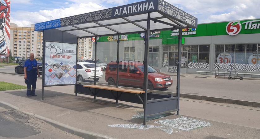 Вандалы повредили остановку с символикой Тамбова на улице Агапкина