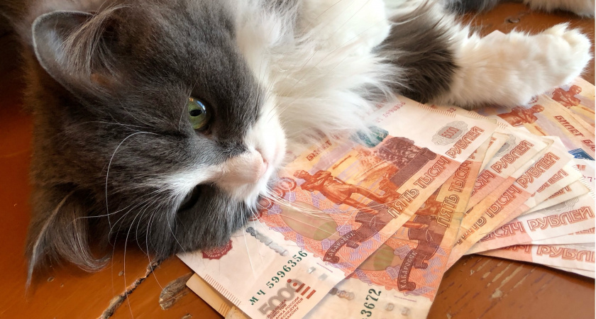 Для всех, кто хранит дома купюры 5 000 рублей - важное нововведение в июне