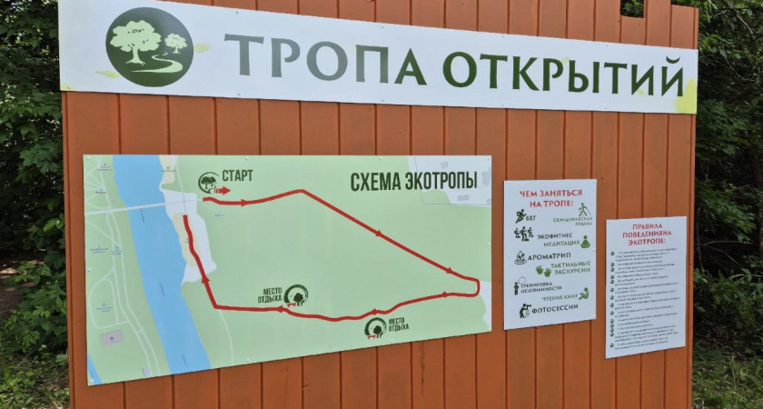 В Мичуринске появилась новая экотропа: маршрут для всей семьи открыт на берегу Лесного Воронежа