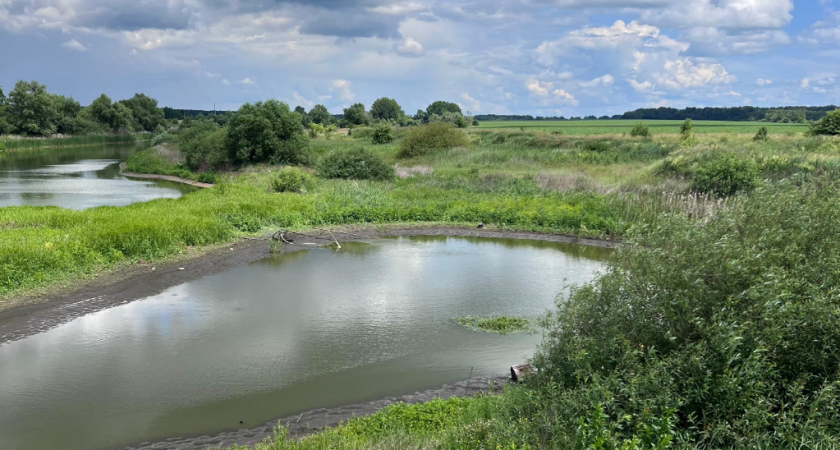Под Тамбовом стартовала масштабная реконструкция старой плотины: пруд у посёлка Заря ждут большие перемены