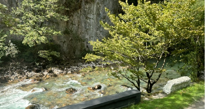 Купили дом мечты в Абхазии, вложились в ремонт, а через год сбежали, оставив почти всё имущество: вот в чём причина