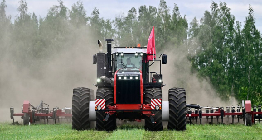 Выставка «День Тамбовского поля – 2025» состоится 18–19 июля в селе Лысые горы