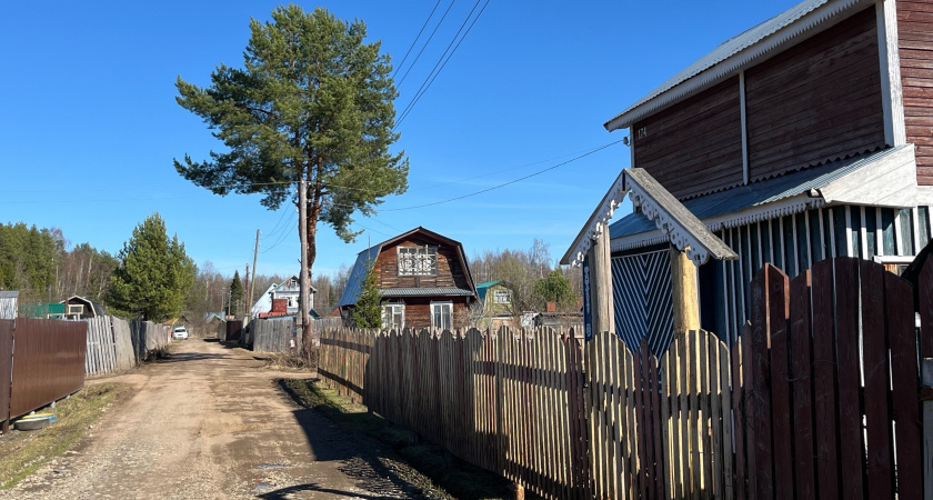 Идеальное ограждение для участка: профлист уже в прошлом — открываем новый способ создать приватность на даче