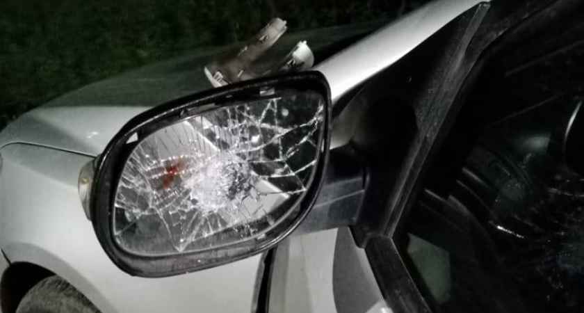 В Тамбовской области парень из хулиганства повредил чужую иномарку: полицейские его задержали