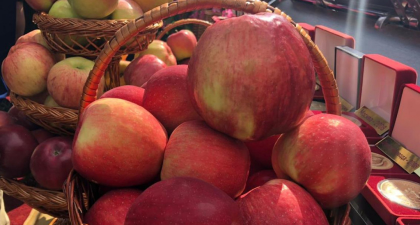 Тамбовская область покажет свои гастрономические бренды на фестивале «Вкусы России» в Казани