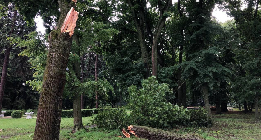 Тамбовскую чиновницу осудили за бездействие, приведшее к гибели человека у музея «Усадьба Асеевых»