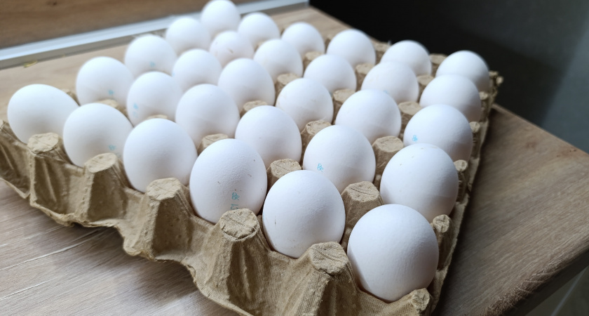 Европейские хозяйки берегут лотки из-под яиц как зеницу ока: пока мы выбрасываем тару – они экономят тысячи