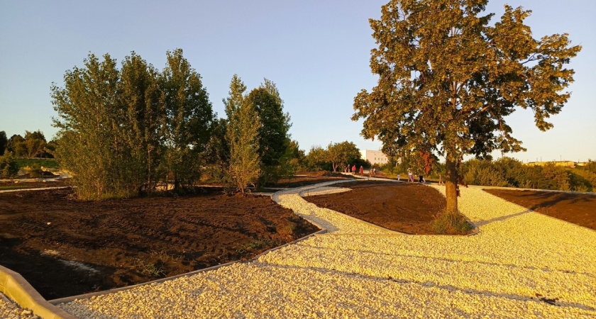 Благоустройство территории у Ласковского карьера обойдется в 108 миллионов рублей