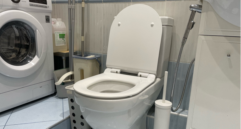 Уходя их дома, закидываю чайный пакетик в унитаз - волшебный совет опытной горничной  