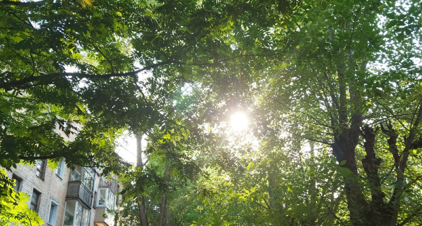 Поступили новые данные. Вильфанд резко изменил прогноз на август - будут аномальные температуры и жара