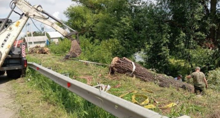 В Тамбовской области русло реки Челновая освободили от деревьев