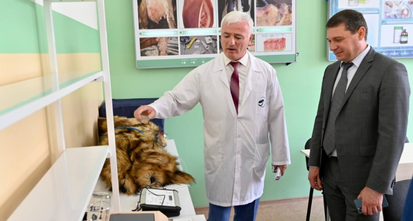 Евгений Первышов оценил подготовку аграрных специалистов в Мичуринске