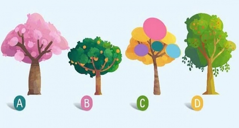 Тест из одного вопроса расскажет, какое слово идеально вас характеризует?