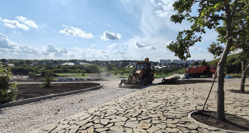 В Тамбове преобразуют склон Ласковского карьера: здесь появится современный парк