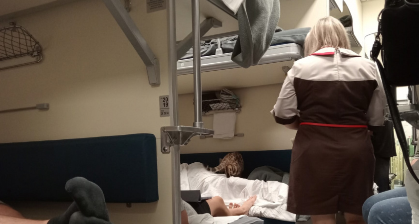 "Это мое место": вот как нужно ставить не место наглых попутчиков, которые требуют уступить им нижнее место - работает даже с мамочками