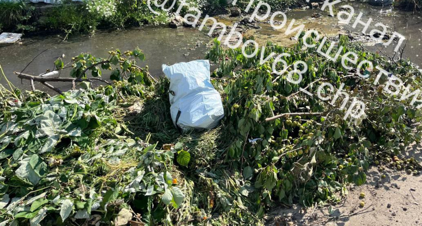 В Тамбове на улице Московской разрастается мусорная яма: вонь и гниль мешают жить