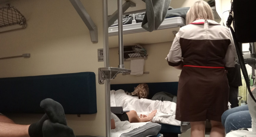 Выкупают купе в плацкарте и вешают занавеску — новый лайфхак от пассажиров поездов РЖД