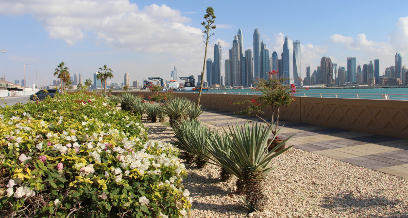 "Кругом одни русские, страшная влажность, домой не позвонить": 10 вещей, которые удивили российскую туристку в ОАЭ