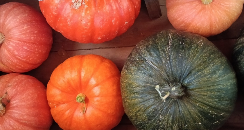 Никогда и никому не отдавайте лишние овощи со своего огорода, лучше закопайте. Вот почему нельзя раздавать