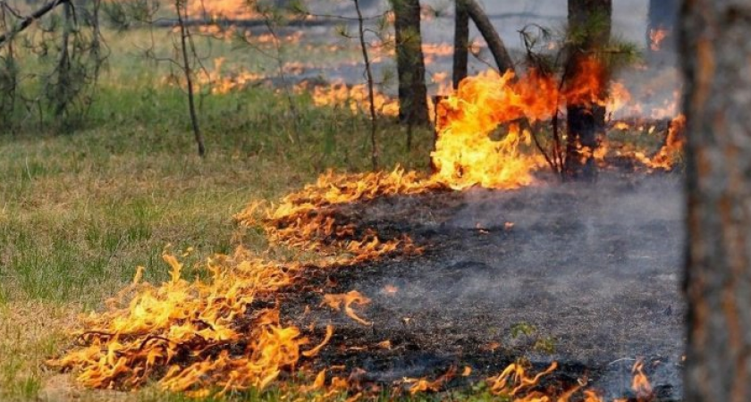 В Тамбовской области объявлен 4 класс пожарной опасности: жителей призывают к осторожности