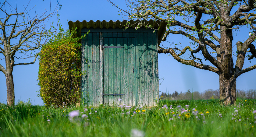 Что засыпать в дачный туалет, чтобы всё быстренько растворилось — проверенные средства от запаха и отходов