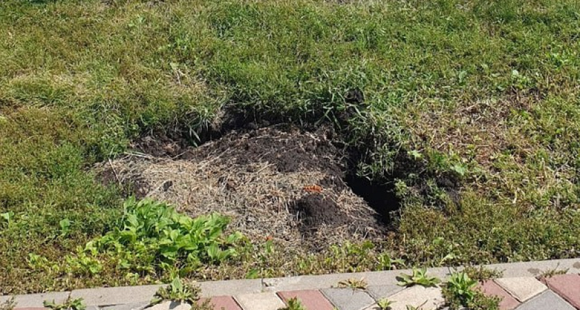 “История одной ямы”: жители Тамбова возмущены халатным отношением к безопасности в сквере им. Сенько