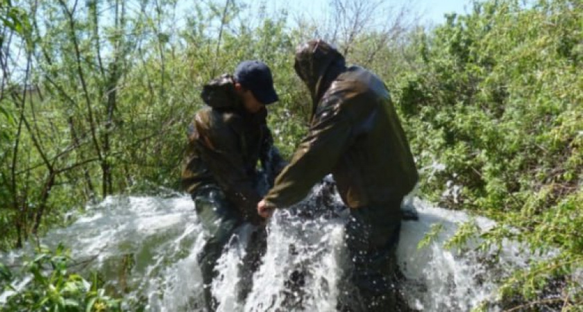 Водный баланс Тамбовщины под контролем: гидросооружения и водоёмы области активно приводятся в порядок