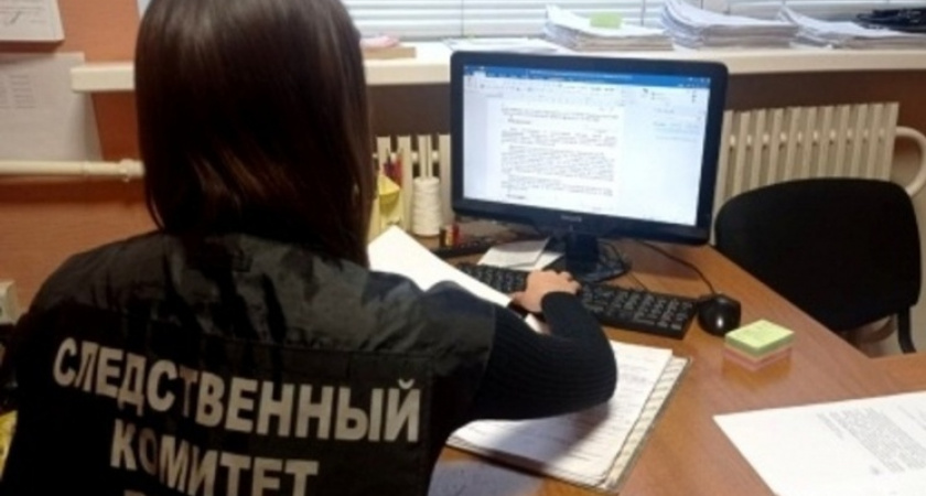 В Тамбовской области директор учреждения культуры пойдёт под суд за мошенничество на 1,2 млн рублей