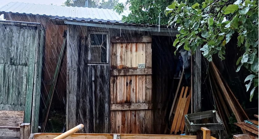 Закидываю эту траву в выгребную яму и каждый раз удивляюсь результату: запах и вода исчезают почти сразу