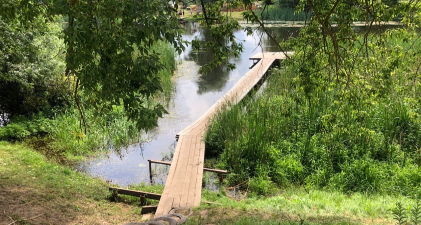 «Я хочу, чтобы гибель моего ребёнка не была напрасна»: мать утонувшего школьника просит обезопасить реку Цна в Тамбовской области