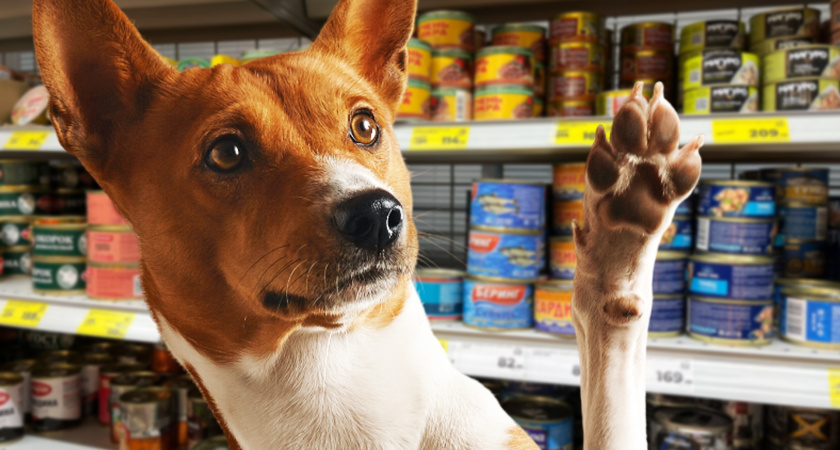 В Норвегии этим продуктом кормят собак, а в России его обожают и не все себе могут позволить