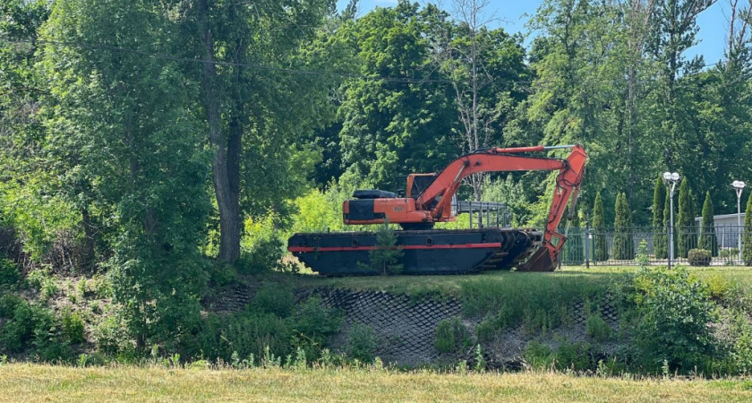 В Тамбове начали расчищать старое русло Цны у парка «Дружба»