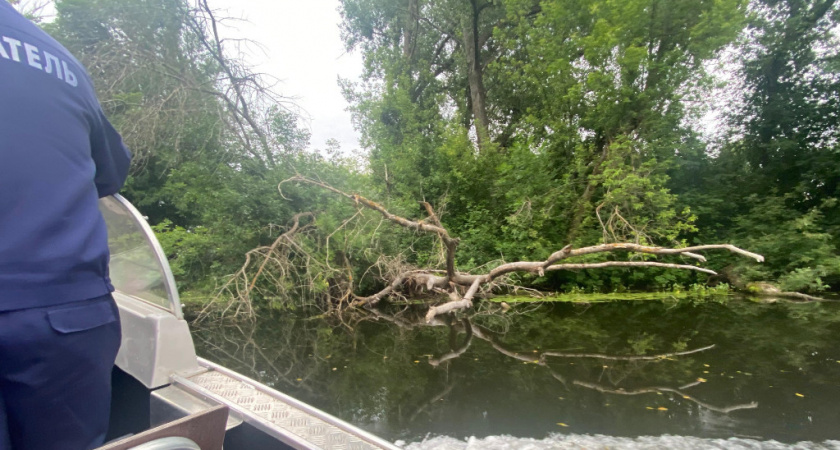 В Мичуринске обследовали реку Лесной Воронеж: выявлены проблемные участки и нарушения