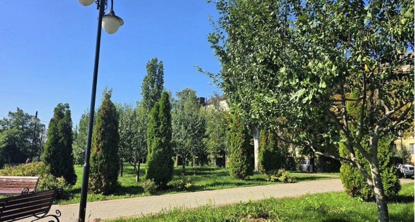 Жители Тамбовской области массово жалуются на проблемы с вывозом мусора