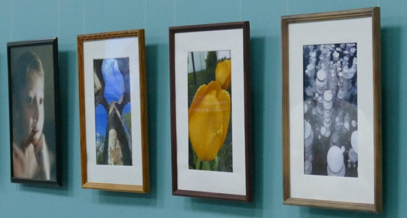 В Котовске представили «микромир» через объектив Елены Гущиной