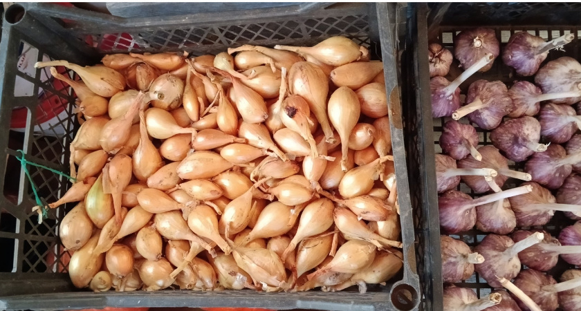 Что делать с пустыми грядками после лука и чеснока: 35 минут, и супер плодородная земля на будущий сезон готова - главное успеть