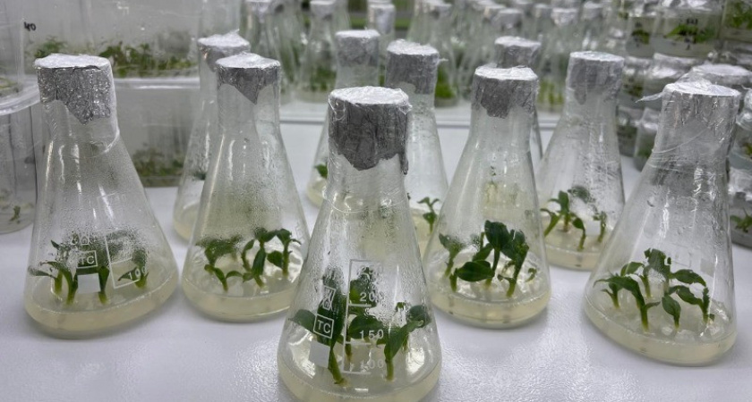 Тамбовская область примет VI Всероссийский форум агрошкол и школ-хозяйств