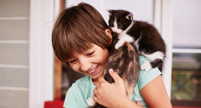 В городском парке пройдёт парад-променад домашних животных