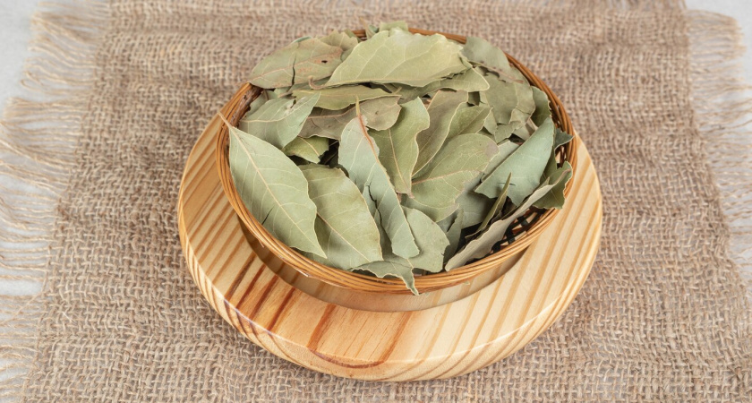 Лавровый лист засыпаю солью — и весь август не нарадуюсь своей уловке: полезный лайфхак для всех хозяек