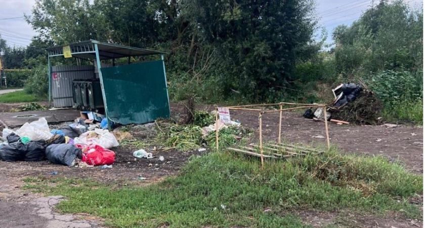 В Тамбовской области водителю напомнили о штрафах за несанкционированный сброс отходов