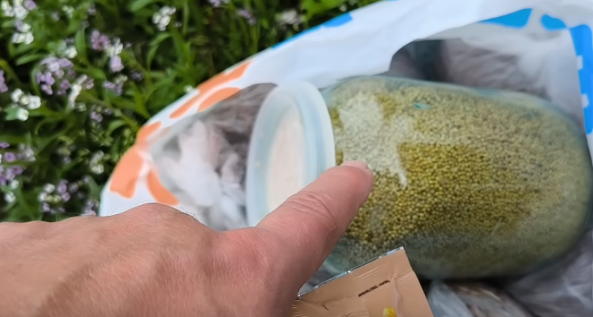 Засеваю свободные грядки этими копеечными сидератами в августе: урожай получаю без единой подкормки – соседи скоро лопнут от зависти